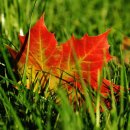 도량초교 이미지