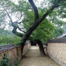 성철환경개발