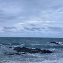 일환네백숙 이미지