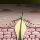 고요의원 이미지