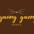 냐옹갱