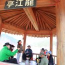 용화상회 Daum카페
