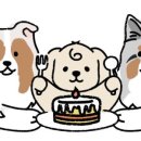 몽마벨(Mong-Ma belle) 이미지