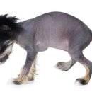 사랑애완동물병원 이미지