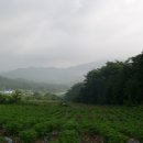 윗사기막 이미지