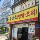 쌍둥이흑염소 이미지