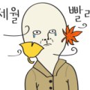 홍짜장배곧한라비발디점 이미지