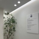 탄벌동-12 이미지