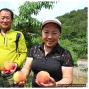 승래농장 이미지