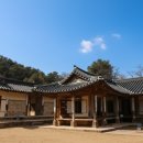 유형문화재 제43호 추사고택 주차장 이미지