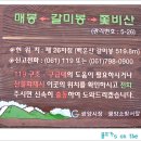 봄고양이마을