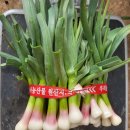 혜은농장 이미지