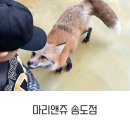 마리앤쥬(ZOO) | 마리앤쥬 송도점 인천 실내동물원 아이랑 방문후기