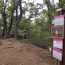 조견사우 이미지