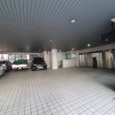 에이스 스크린 골프존 이미지