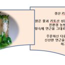 경산연근