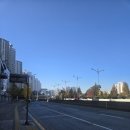 광주의료기 | 광주 신창동왁싱 데이브로우왁싱 브라질리언왁싱 후기