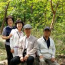 미당서정주의 집 이미지