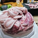 별다섯착한하우스 | 통영 낚시펜션/별다섯착한하우스