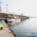 바다곰치국