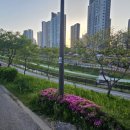 갈매천공원화장실 이미지