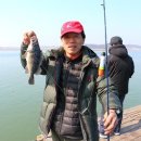 토도수산 이미지