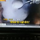 대치한우 이미지