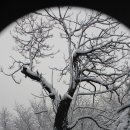 우장산근린공원 이미지