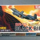 블랙버드 이미지