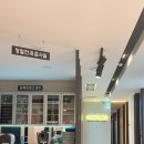 서울 강남 아이메디안과의원 결막모반 눈 점 제거 후기 시술 주의사항 실비보험