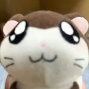 퇴근길 | 퇴근길 후기