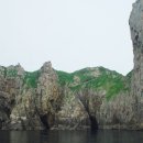 ㈜레드캡투어 이미지