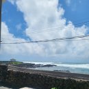 신천코지 이미지