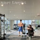 트레인하드 이미지