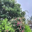 이연농장 이미지