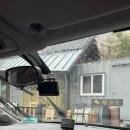 봄날의 댕댕이 | 가평 애견동반펜션 댕댕이 애션 펜션 실버 솔직 후기