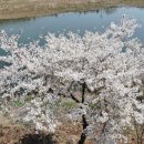 경안천로 이미지