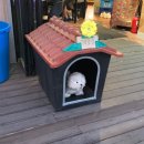 또오기식당 이미지