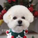 꽃내음나개 네이버블로그