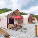 르쏠레이475카페 야영장 이미지