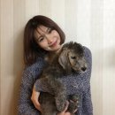 모노모노몽 이미지