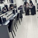 살랑살랑 반려견미용실 | 잠실미용실에서 기분전환 제대로! 사랑스러운 스타일을 완성했어요