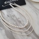 오늘도 봄 이미지