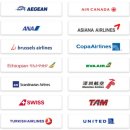 스카이팀 이미지