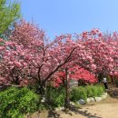완산-21 Daum카페