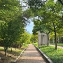 수원-1896 | [수원] 중국식 전통 정원 ‘월화원’. 산책하기 좋은 곳!