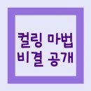 컬링 바닥에서 펼치는 스포츠 마법 - 경기 비결 공개