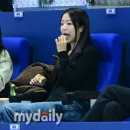 삐약이 마이데일리