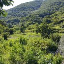 영남농장 이미지