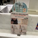 나성코스메틱